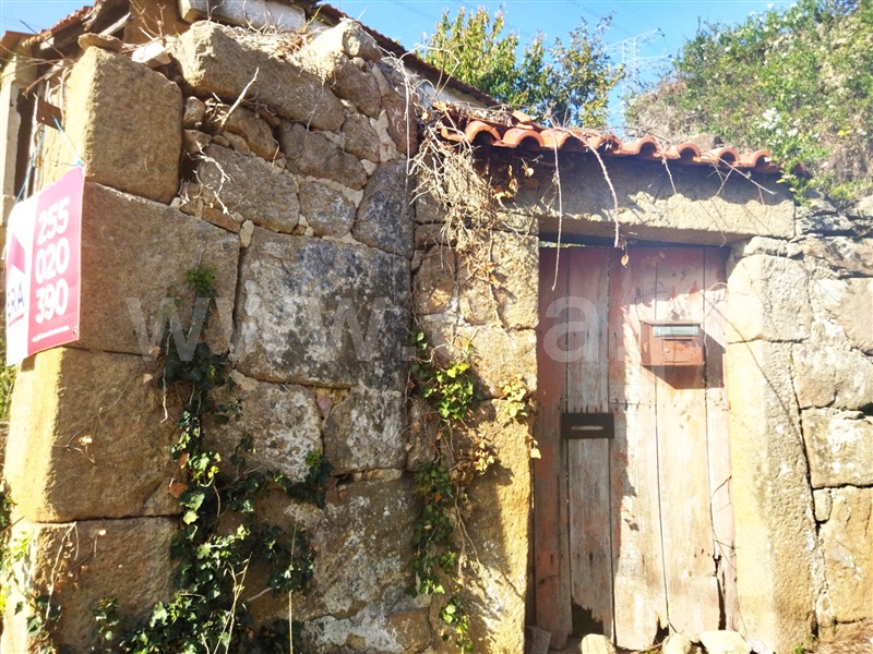 Quintinha  Cinfães, São Cristóvão de Nogueira - 1360652 - 1