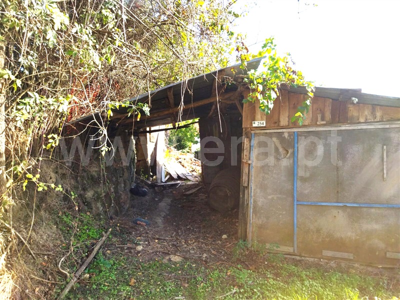 Quintinha  Cinfães, São Cristóvão de Nogueira - 1360652 - 3