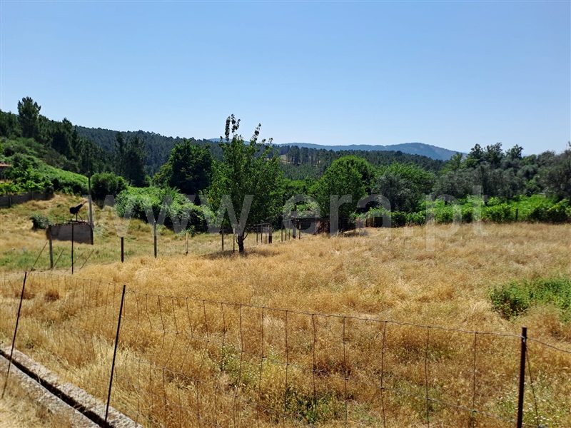 Quintinha / Covilhã, Erada