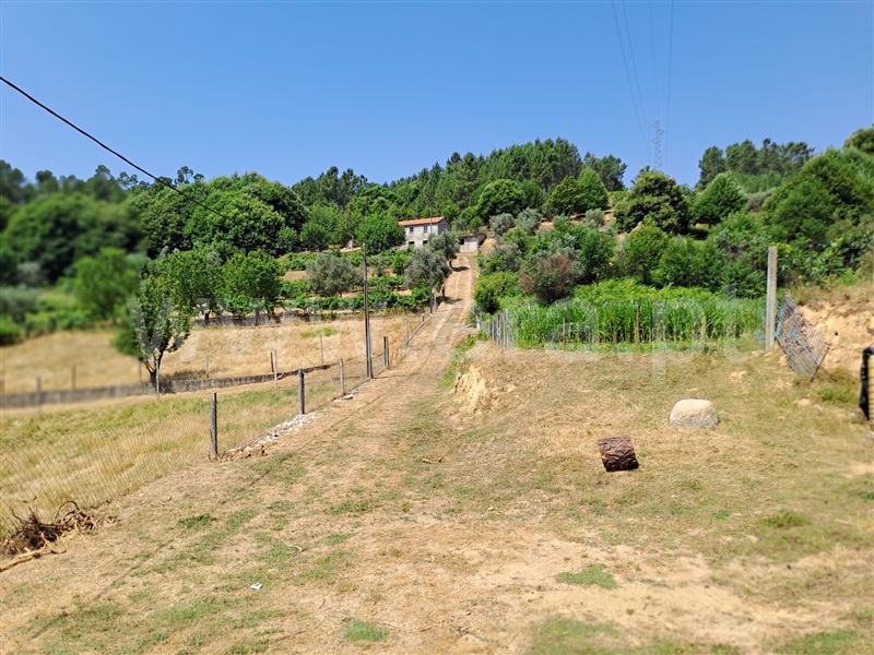 Terreno Rústico  Covilhã, Erada - 1492144 - 3