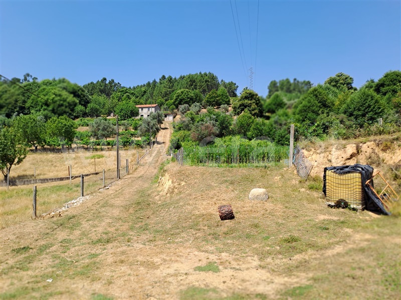 Terreno Rústico  Covilhã, Erada - 1492144 - 4