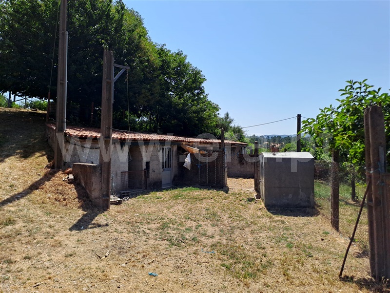 Terreno Rústico  Covilhã, Erada - 1492144 - 5