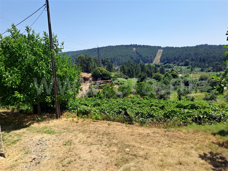 Terreno Rústico  Covilhã, Erada - 1492144 - 6