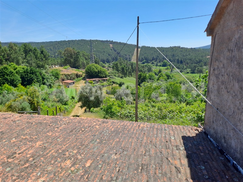 Terreno Rústico  Covilhã, Erada - 1492144 - 9