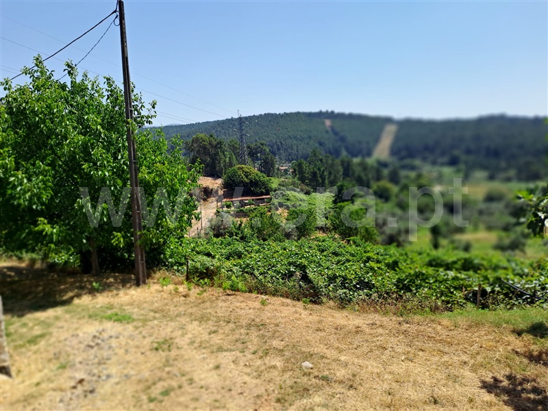 Terreno Rústico  Covilhã, Erada - 1492144 - 10