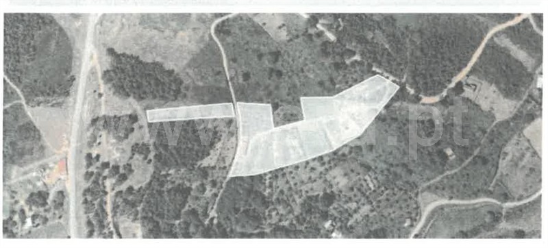 Quintinha  Covilhã, Erada - 1492144 - 15