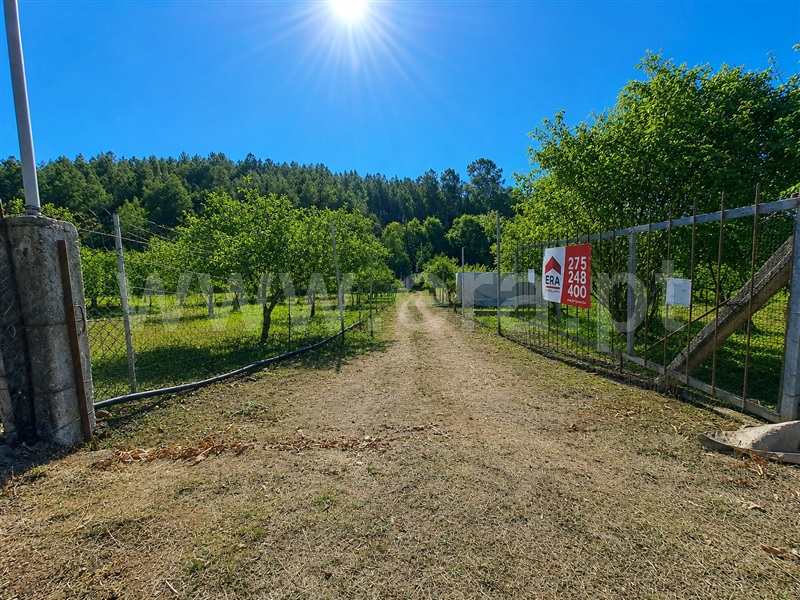 Quintinha / Covilhã, Erada