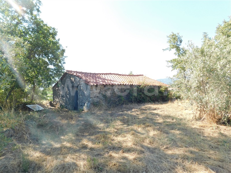Quintinha  Covilhã, Peraboa - 1264187 - 2