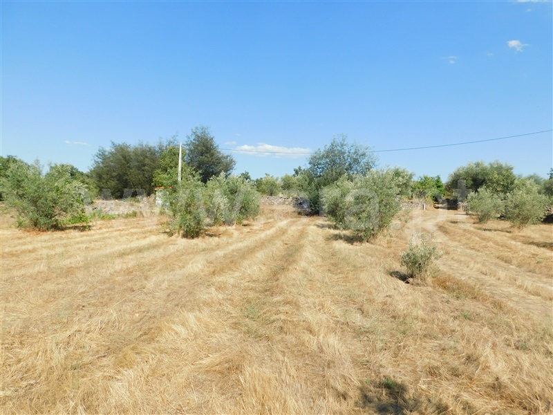Quintinha  Covilhã, Peraboa - 1264187 - 3