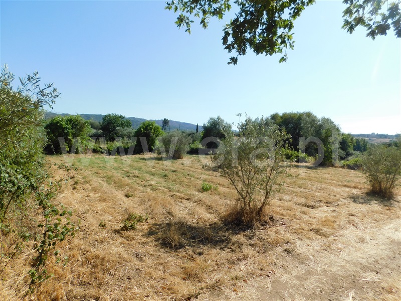 Quintinha / Covilhã, Peraboa