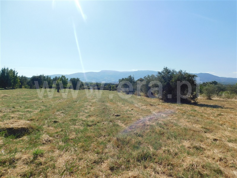 Quintinha  Covilhã, Peraboa - 1264187 - 9