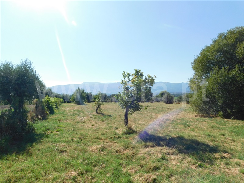 Quintinha  Covilhã, Peraboa - 1264187 - 12