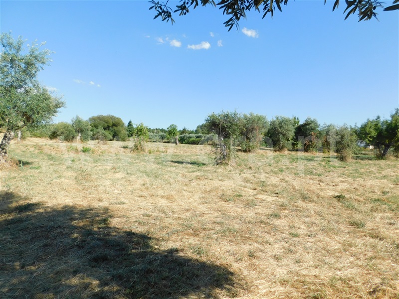 Quintinha  Covilhã, Peraboa - 1264187 - 14