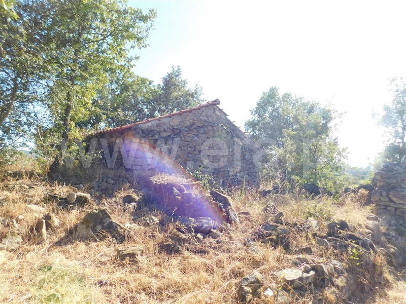 Quintinha  Covilhã, Peraboa - 1264187 - 16