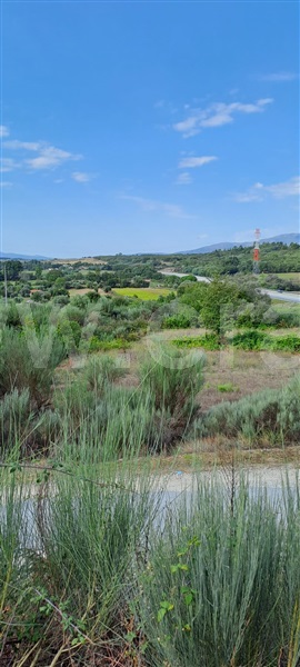 Quintinha  Covilhã, Peraboa - 1357141 - 1