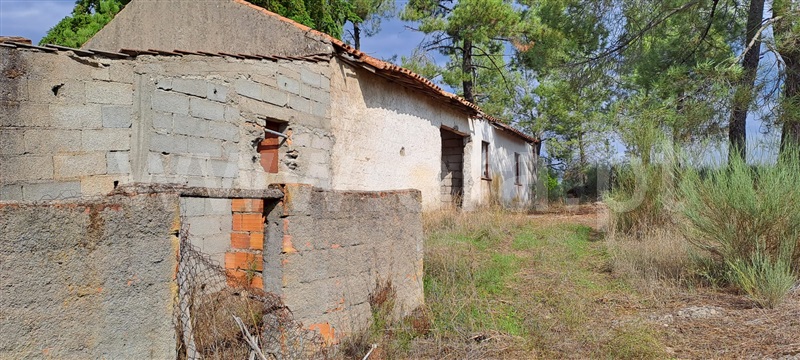 Quintinha  Covilhã, Peraboa - 1357141 - 3