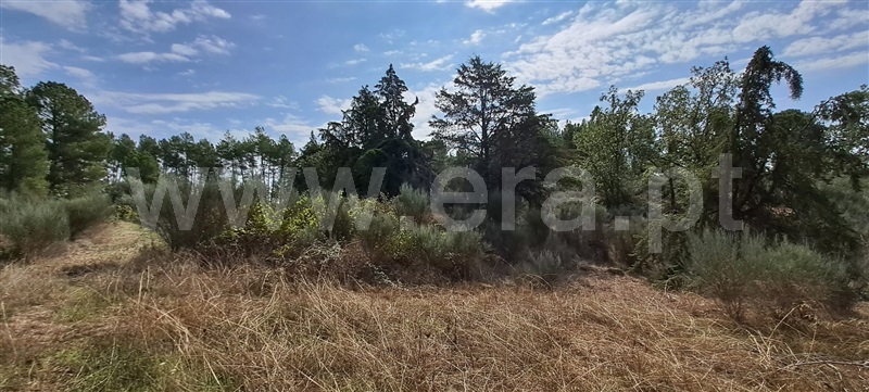 Quintinha  Covilhã, Peraboa - 1357141 - 12