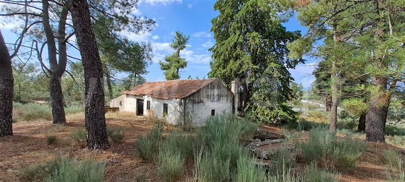 Quintinha / Covilhã, Peraboa