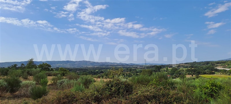 Quintinha  Covilhã, Peraboa - 1357141 - 15