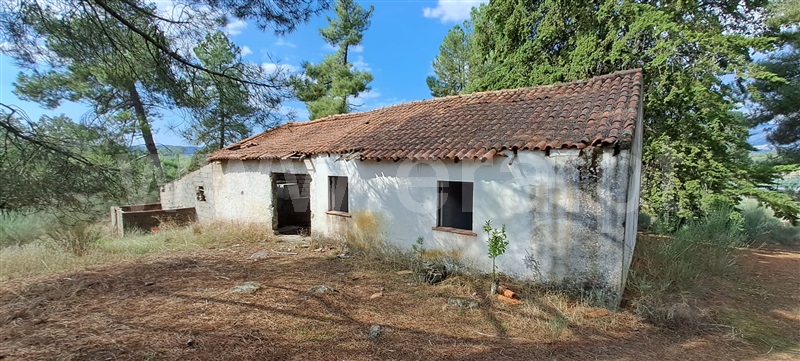 Quintinha  Covilhã, Peraboa - 1357141 - 18