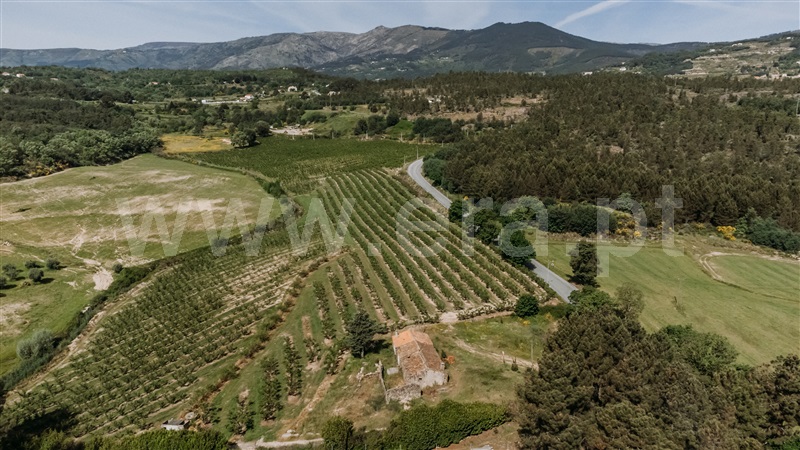 Quintinha  Covilhã, Teixoso e Sarzedo - 1400974 - 6