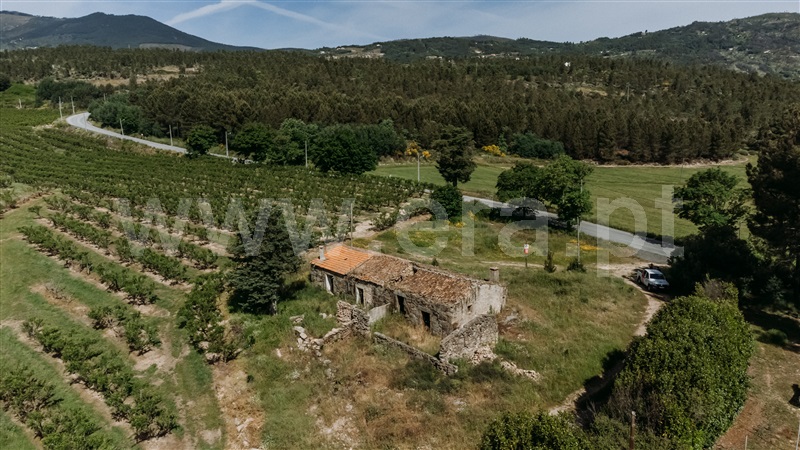 Quintinha  Covilhã, Teixoso e Sarzedo - 1400974 - 8