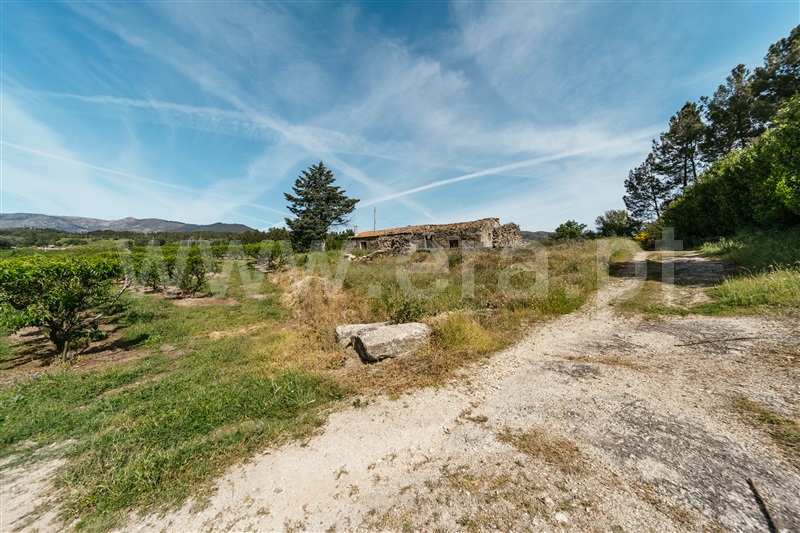 Quintinha  Covilhã, Teixoso e Sarzedo - 1400974 - 12