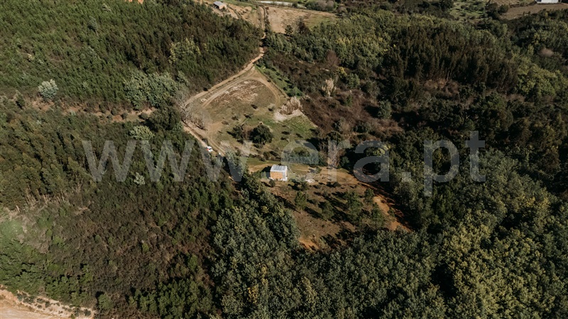 Quintinha T0 com Agrícola Covilhã, Peso - 1456497 - 2