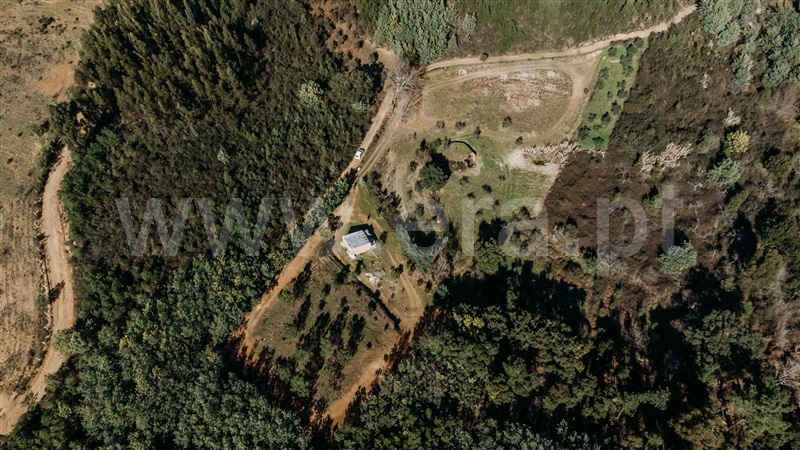 Quintinha T0 com Agrícola Covilhã, Peso - 1456497 - 13
