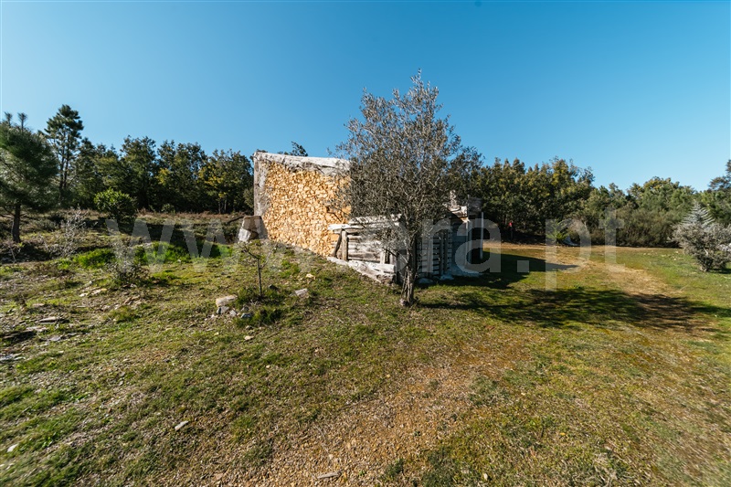Quintinha T0 com Agrícola Covilhã, Peso - 1456497 - 18