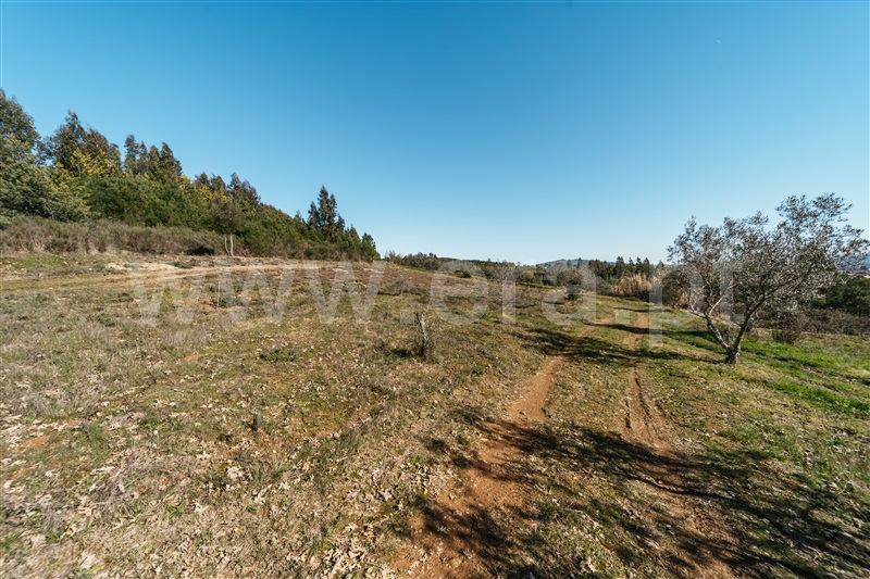 Quintinha T0 com Agrícola Covilhã, Peso - 1456497 - 26
