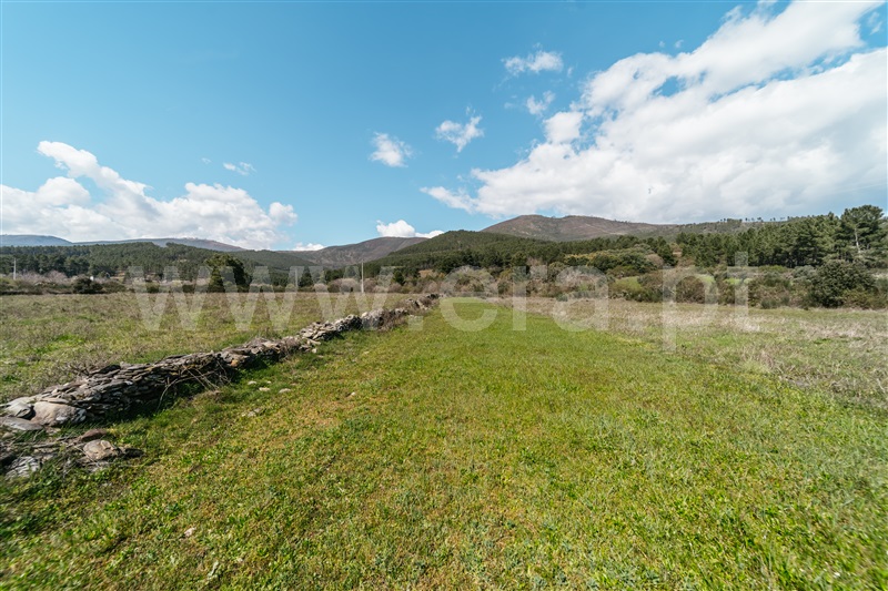 Quintinha T0 com Urgente Covilhã, Serra da Estrela - 1450710 - 26