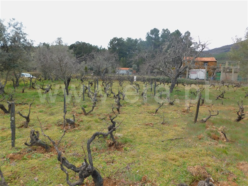 Quintinha T0 com Agrícola Covilhã, Serra da Estrela - 1471720 - 20