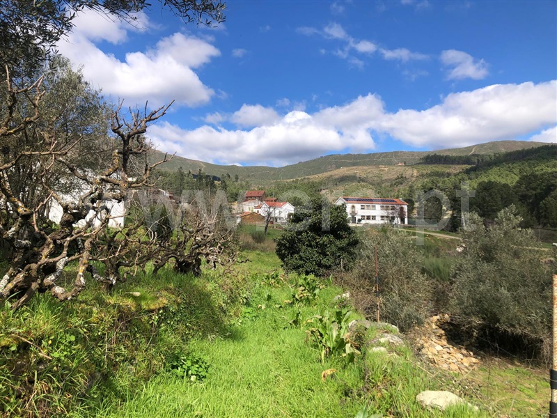 Quintinha T0 com Agrícola Covilhã, Serra da Estrela - 1471720 - 37