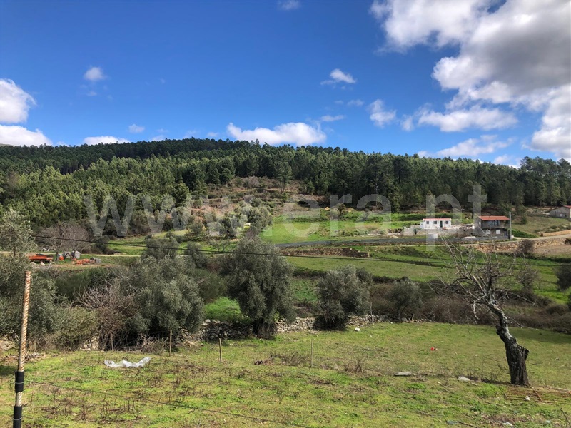 Quintinha T0 com Agrícola Covilhã, Serra da Estrela - 1471720 - 38