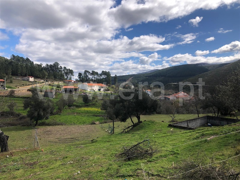 Quintinha T0 com Agrícola Covilhã, Serra da Estrela - 1471720 - 39
