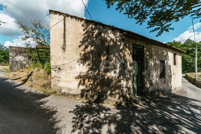 Quinta  com Agrícola Covilhã, Teixoso - 1478716 - 23