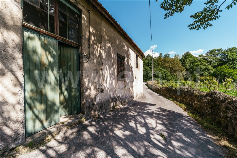 Quinta  com Agrícola Covilhã, Teixoso - 1478716 - 24
