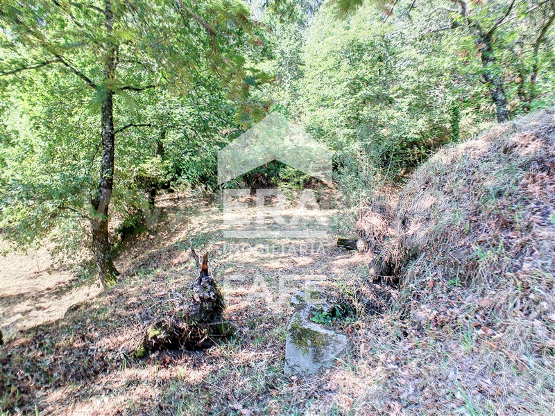 Terreno Misto  Fafe, Travassós - 1251048 - 20
