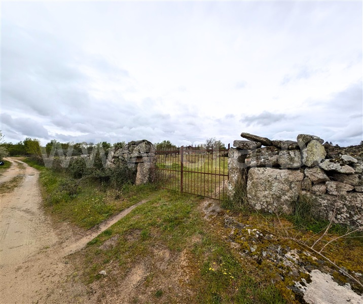 Quintinha / Figueira de Castelo Rodrigo, Algodres, Figª de Castelo Rodrigo
