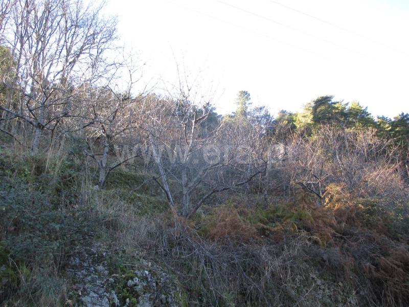 Quintinha  Fundão, Alcongosta - 786669 - 2