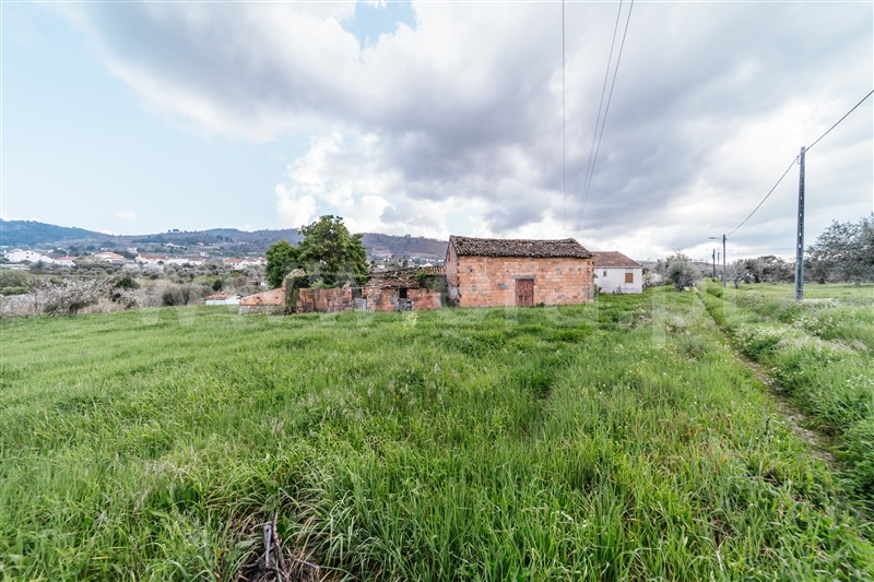 Quintinha  Fundão, Aldeia Nova - 1343801 - 5