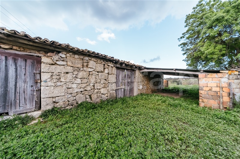Quintinha  Fundão, Aldeia Nova - 1343801 - 8