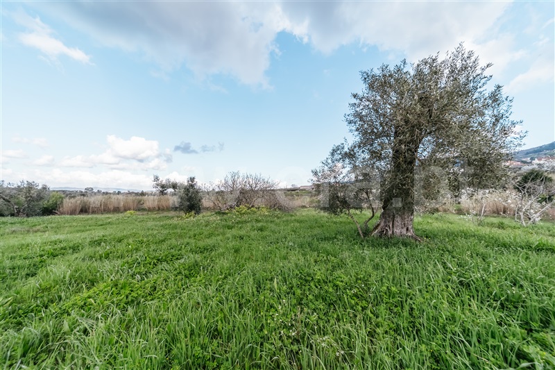 Quintinha  Fundão, Aldeia Nova - 1343801 - 9