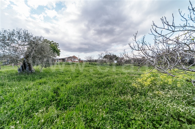 Quintinha  Fundão, Aldeia Nova - 1343801 - 11