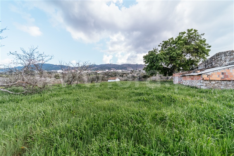Quintinha  Fundão, Aldeia Nova - 1343801 - 13