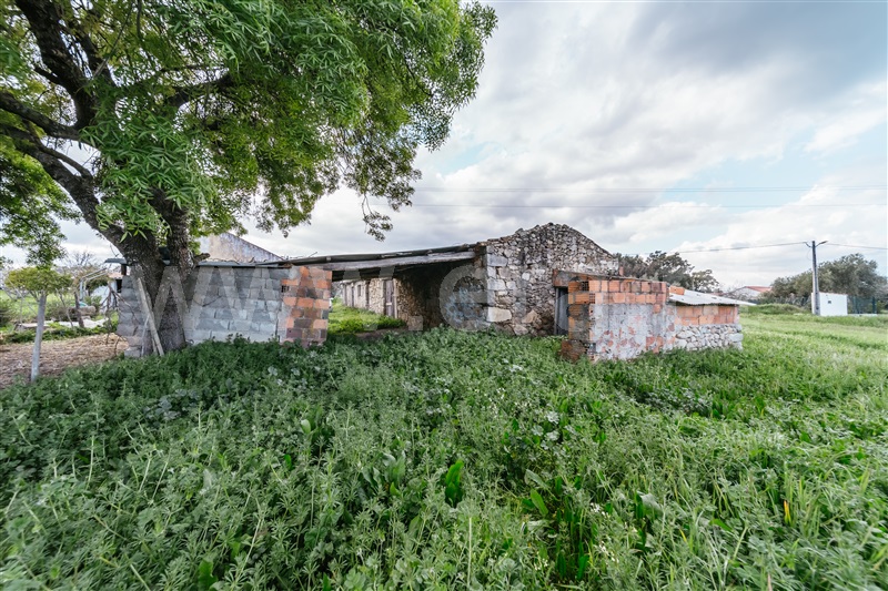 Quintinha  Fundão, Aldeia Nova - 1343801 - 15