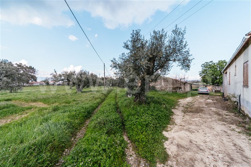 Quintinha  Fundão, Aldeia Nova - 1343801 - 17