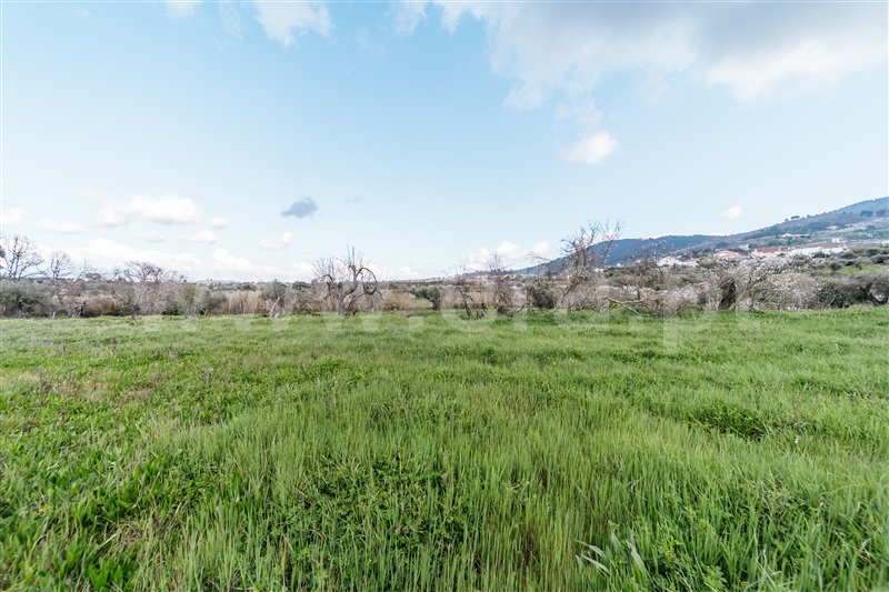 Quintinha  Fundão, Aldeia Nova - 1343801 - 20