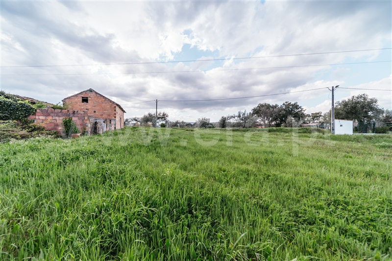 Quintinha  Fundão, Aldeia Nova - 1343801 - 21